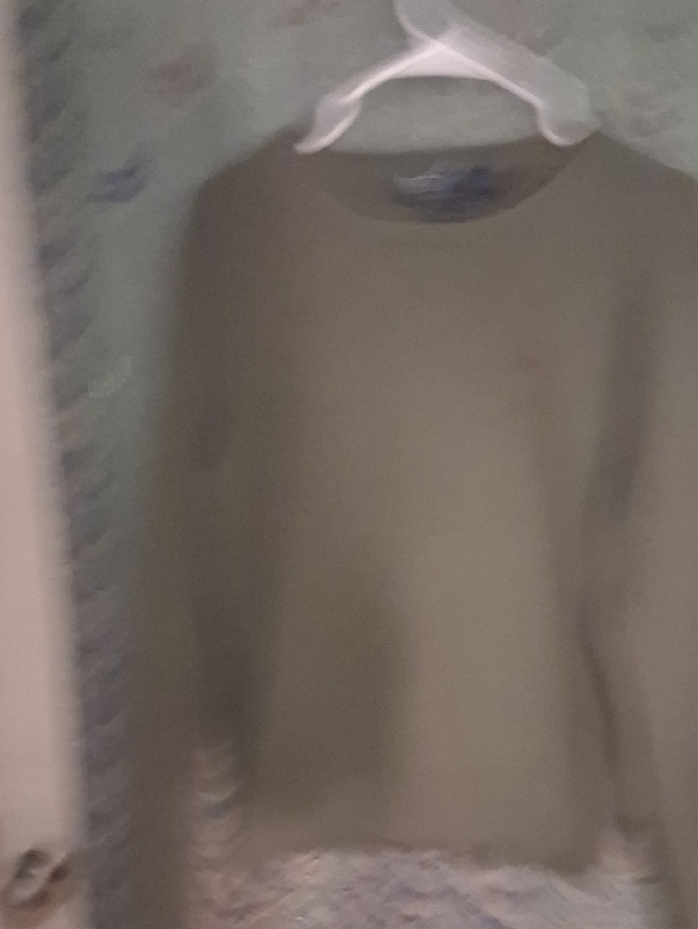 Polo by Ralph Lauren Olive Crewneck Sweater with Red Pony - Picture 4 of 6
